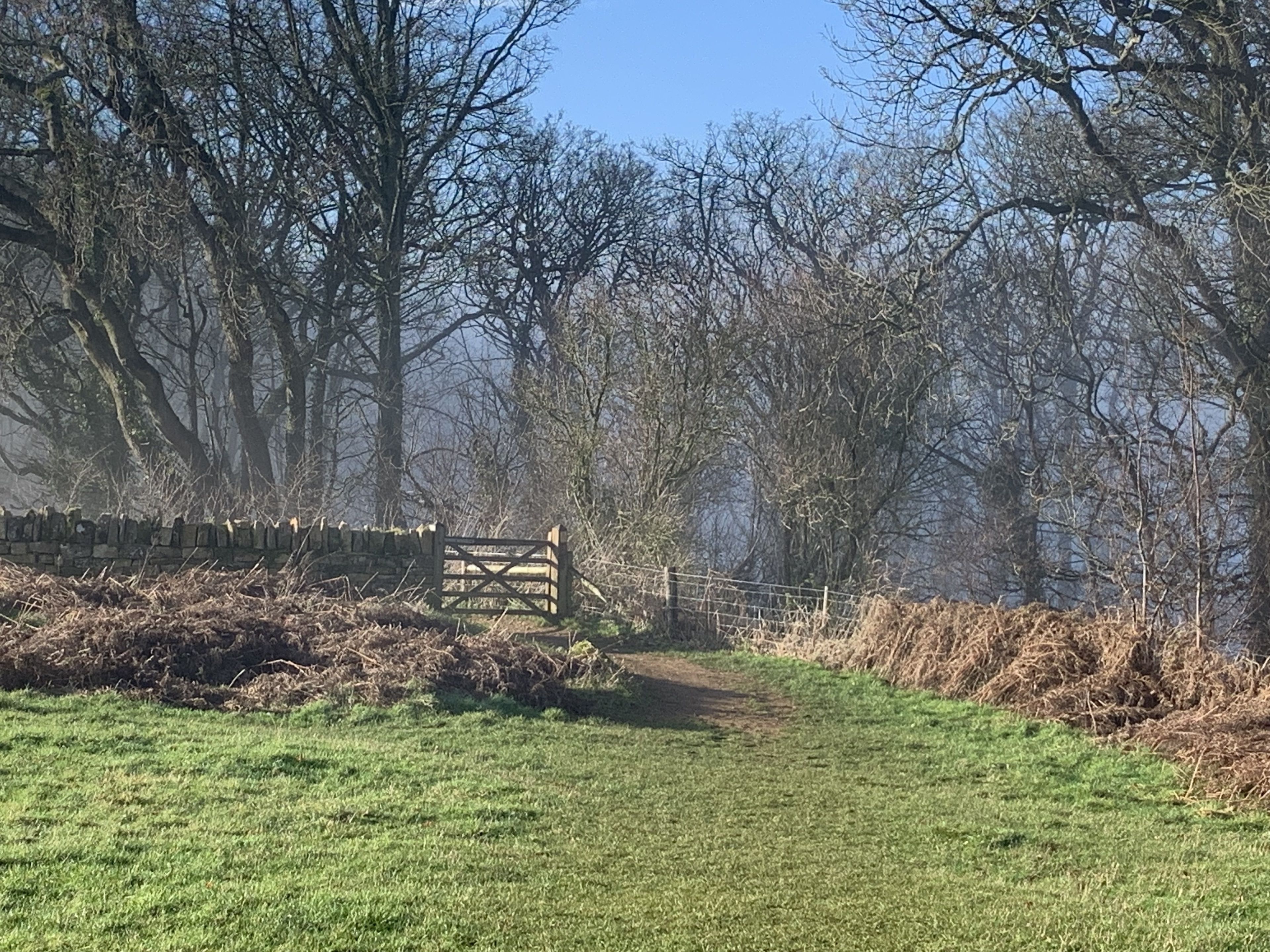 A rural pathway leading to a stone gate with a fence on the right.
