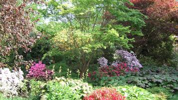 A garden with various plants and trees, including some with pink and red flowers.