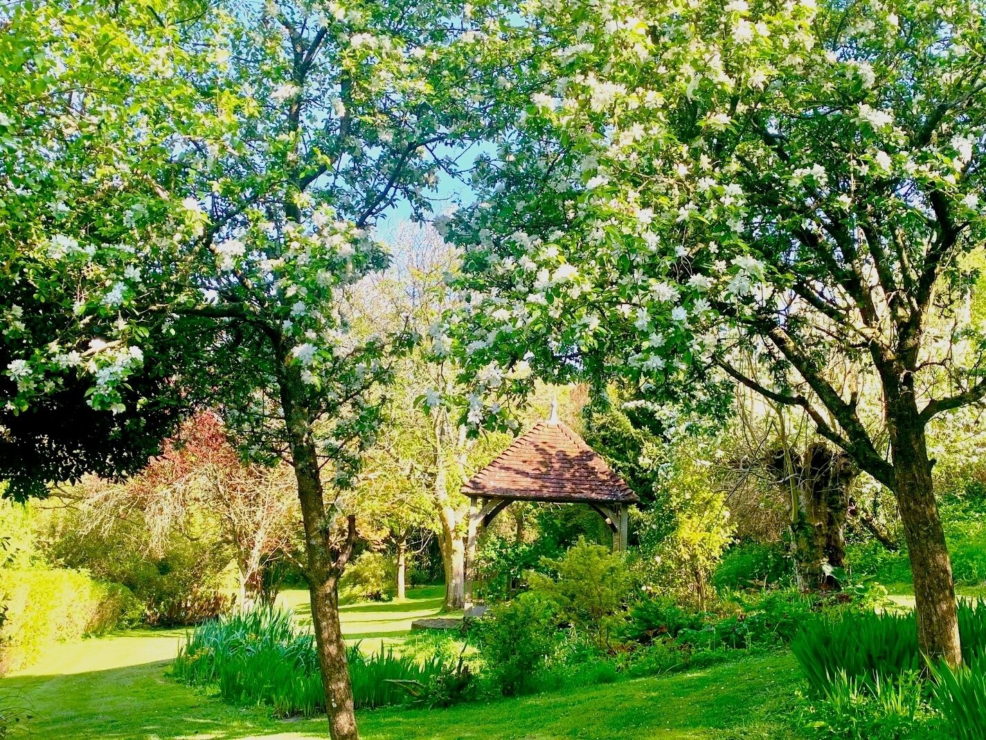 Un belvédère entouré d’une végétation luxuriante et d’arbres en fleurs, situé dans un jardin.