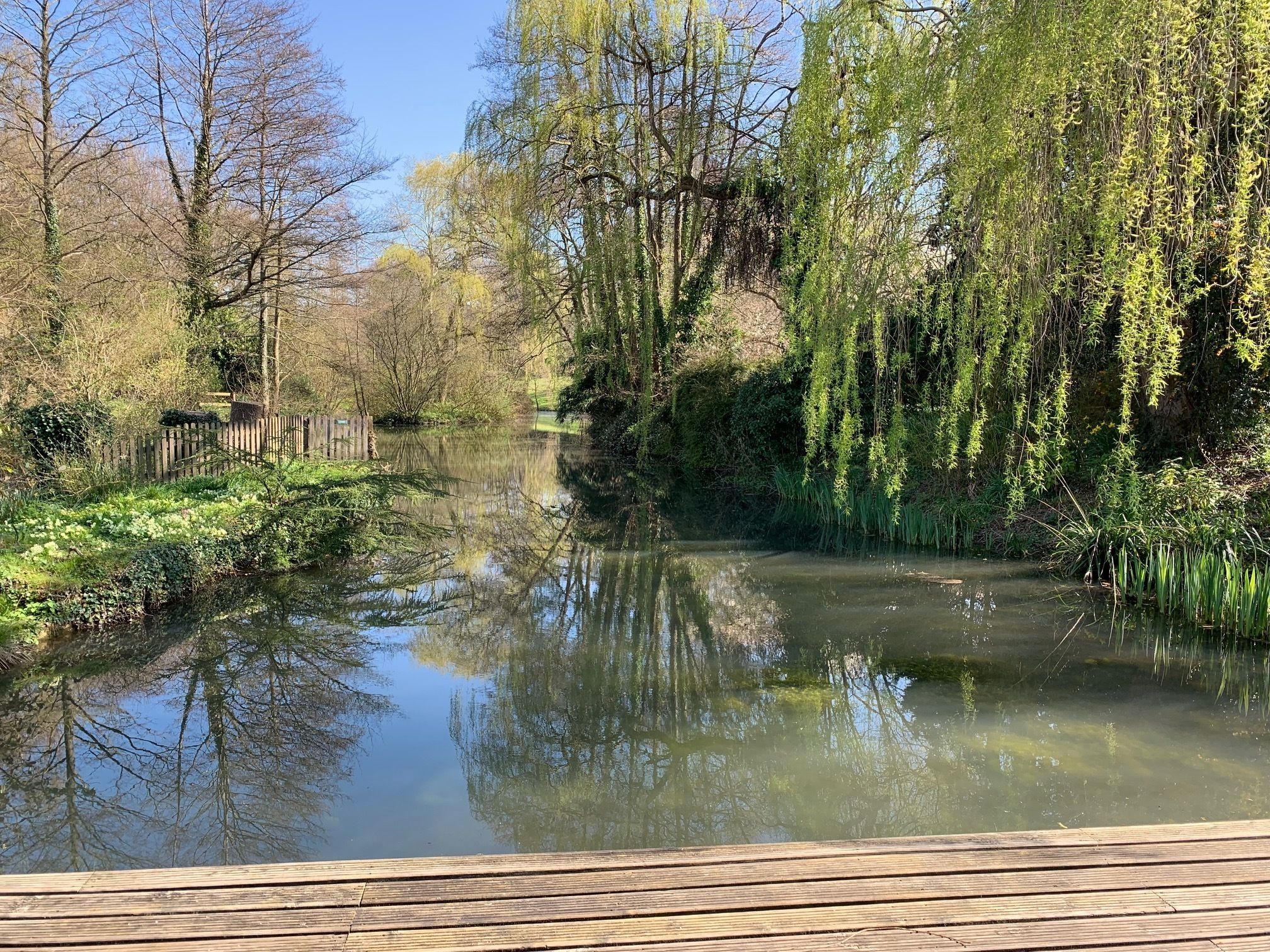 A calm river with trees and a wooden dock.
