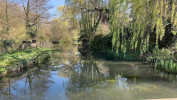 A calm river with trees and a wooden dock.
