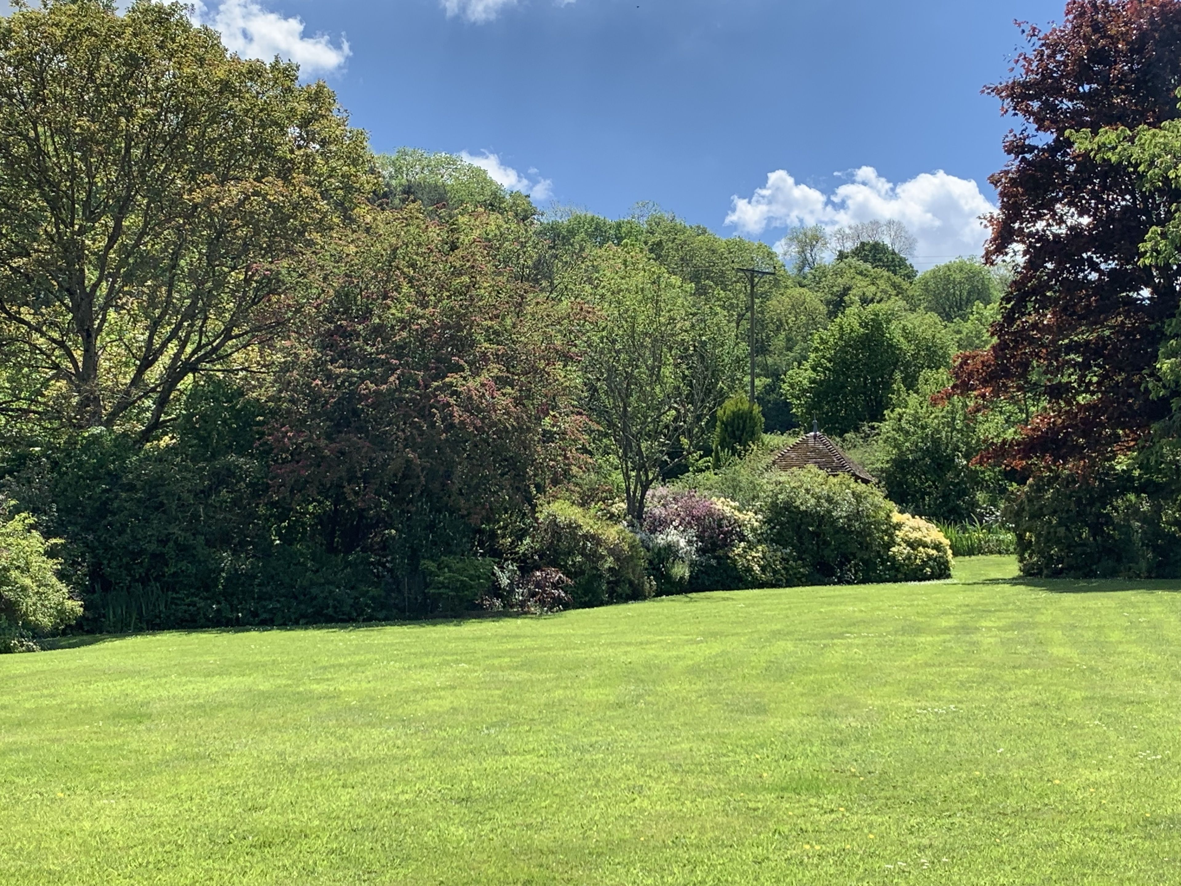Un área verde y bien cuidada con árboles y arbustos densos, probablemente parte de un parque o jardín.