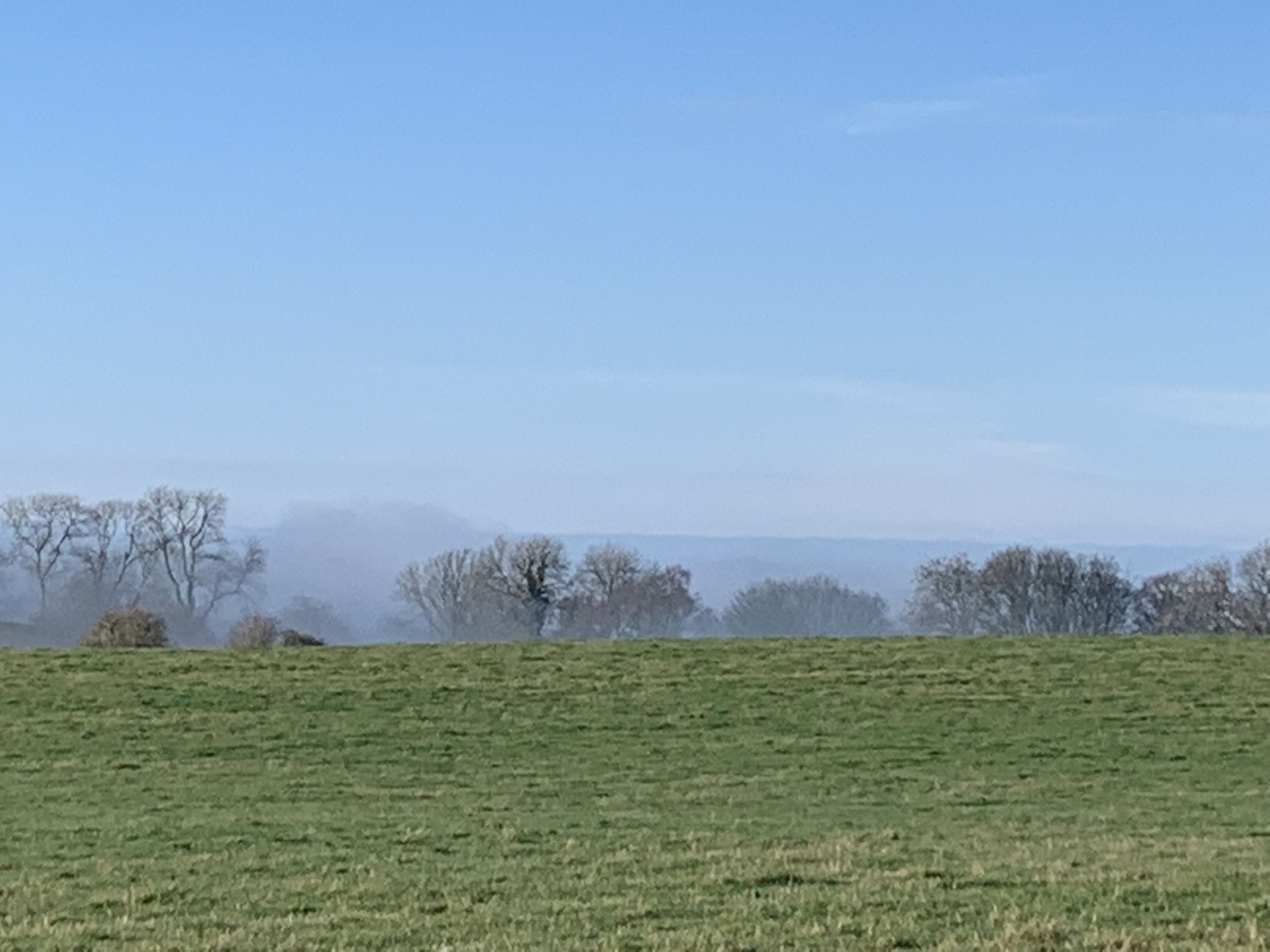 A flat, expansive grassy field with sparse trees in the distance under a clear sky.