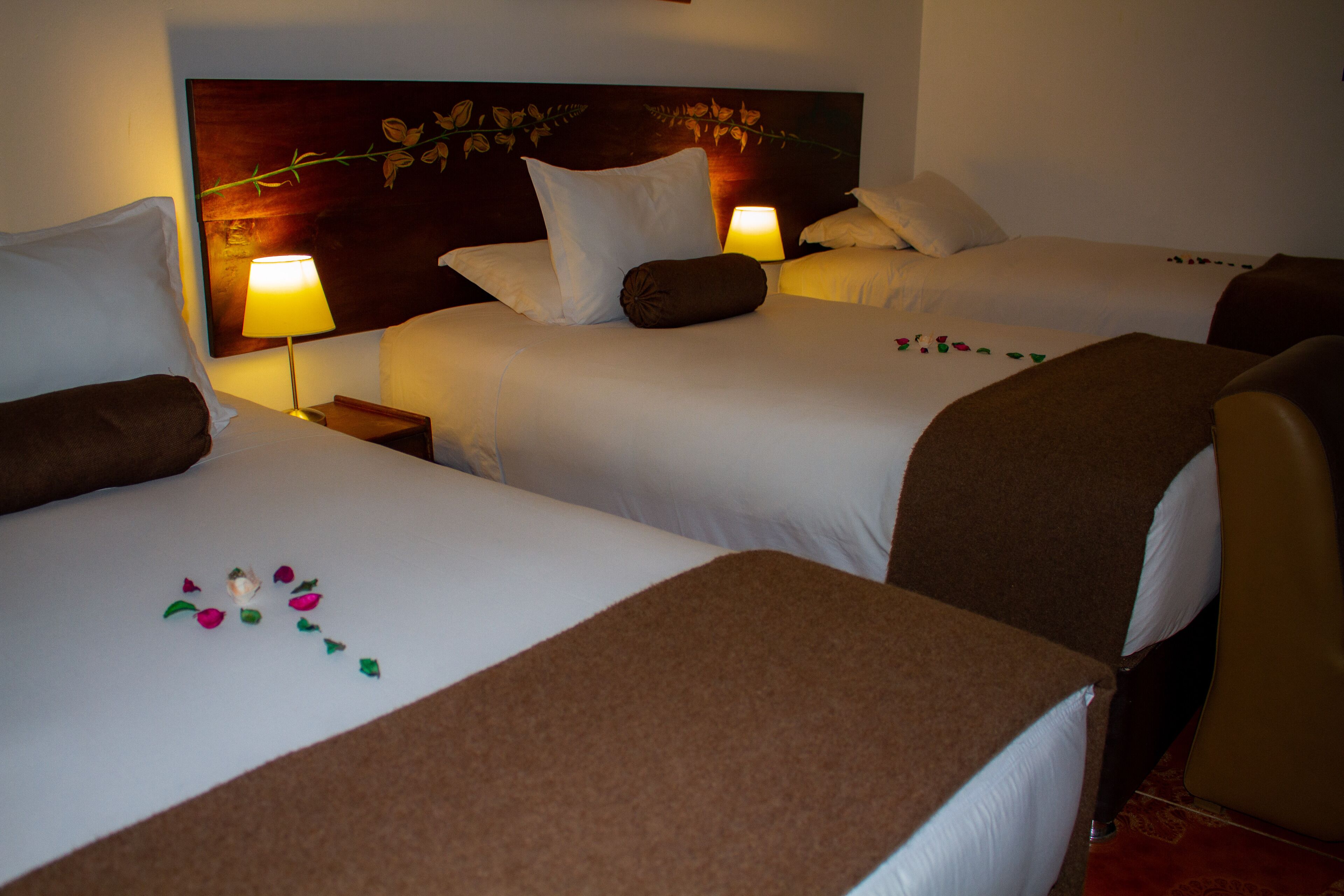 superior triple room, 3 single beds, mountain view | 1 bedroom, premium bedding, in-room safe, desk