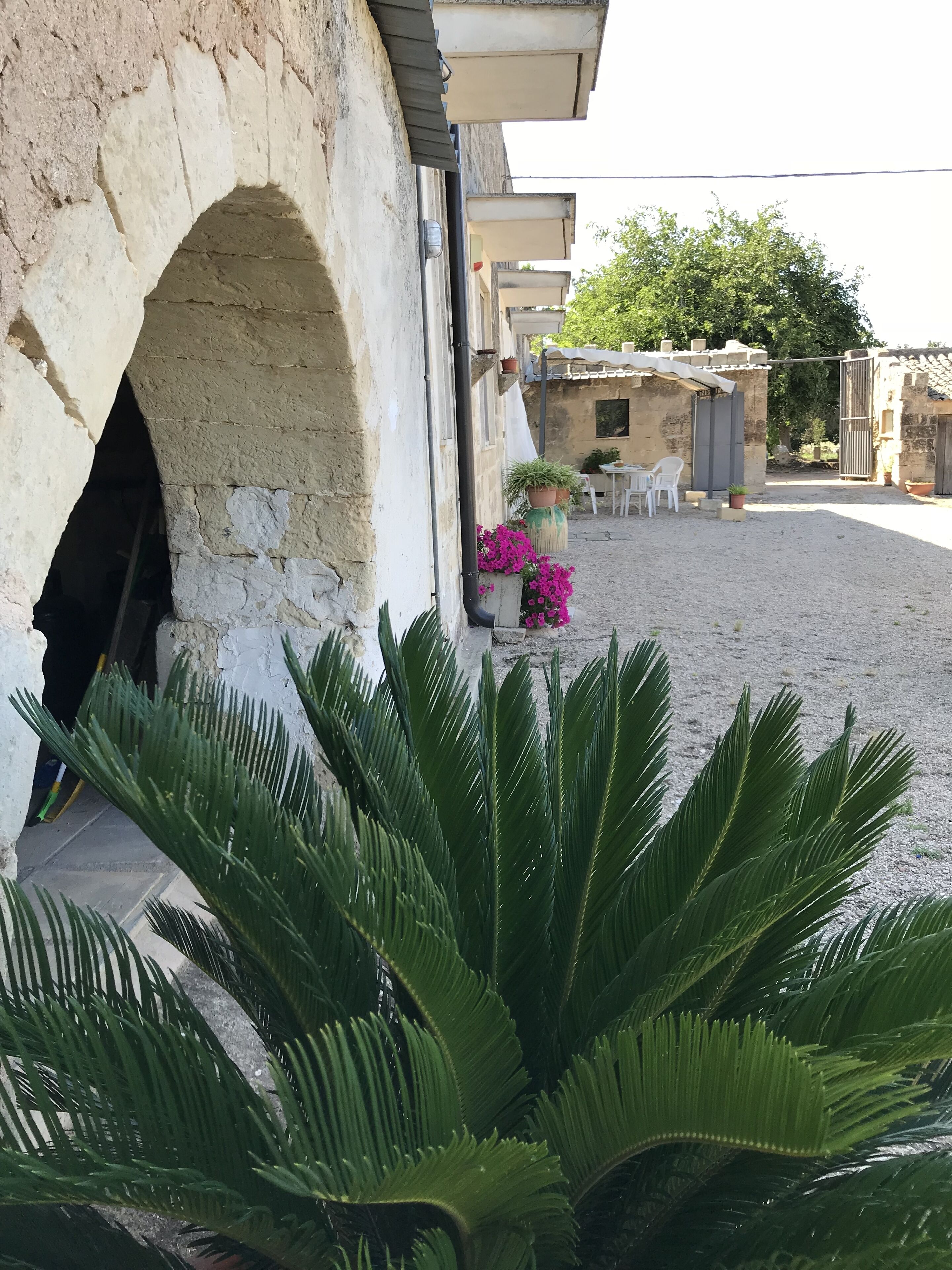 Enceinte de l’hébergement