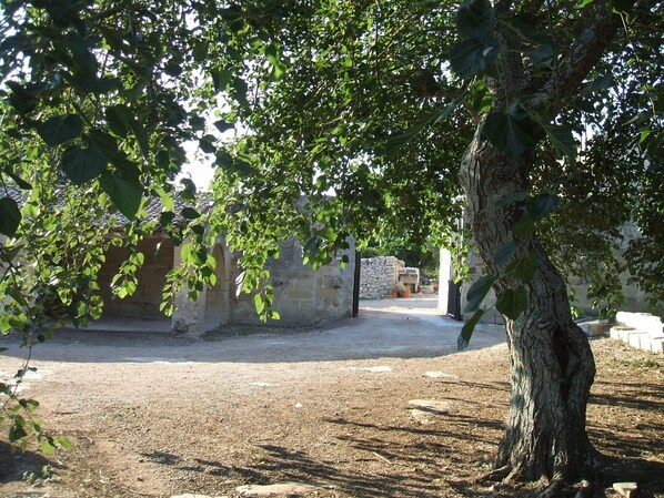 Parco della struttura