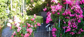 Family-friendly apartment near Legoland for 5 pers.