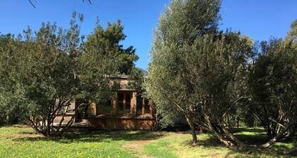 Casa Forcina Monti House
