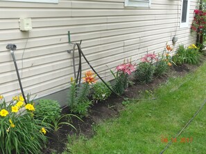 Property grounds - Clean...Comfortable... (Taylor)