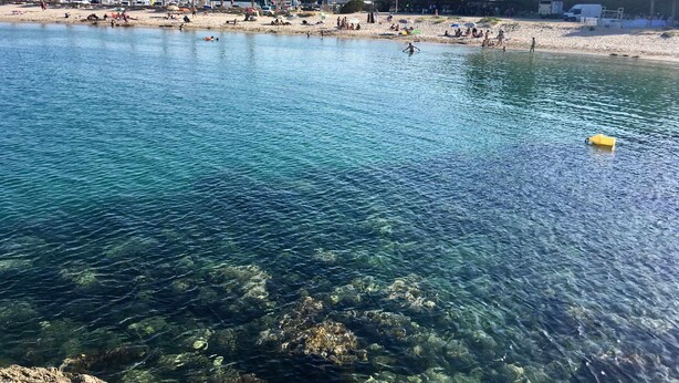 A beach with clear water, palm trees, and buildings in the background. - Beautiful villa not overlooked, private pool, free WIFI, 2800m from beaches (Ametlla De Mar, L')