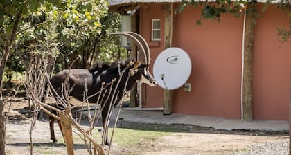 Mokorro Game Ranch and Lodge