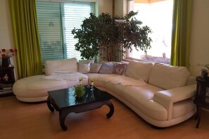 テレビ、書庫、ステレオ