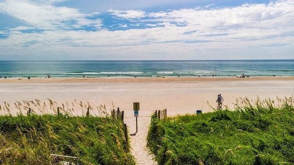A beach with a sandy path leading to the water, surrounded by greenery.
