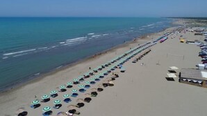 Une plage bordée de rangées de parasols et de chaises longues.