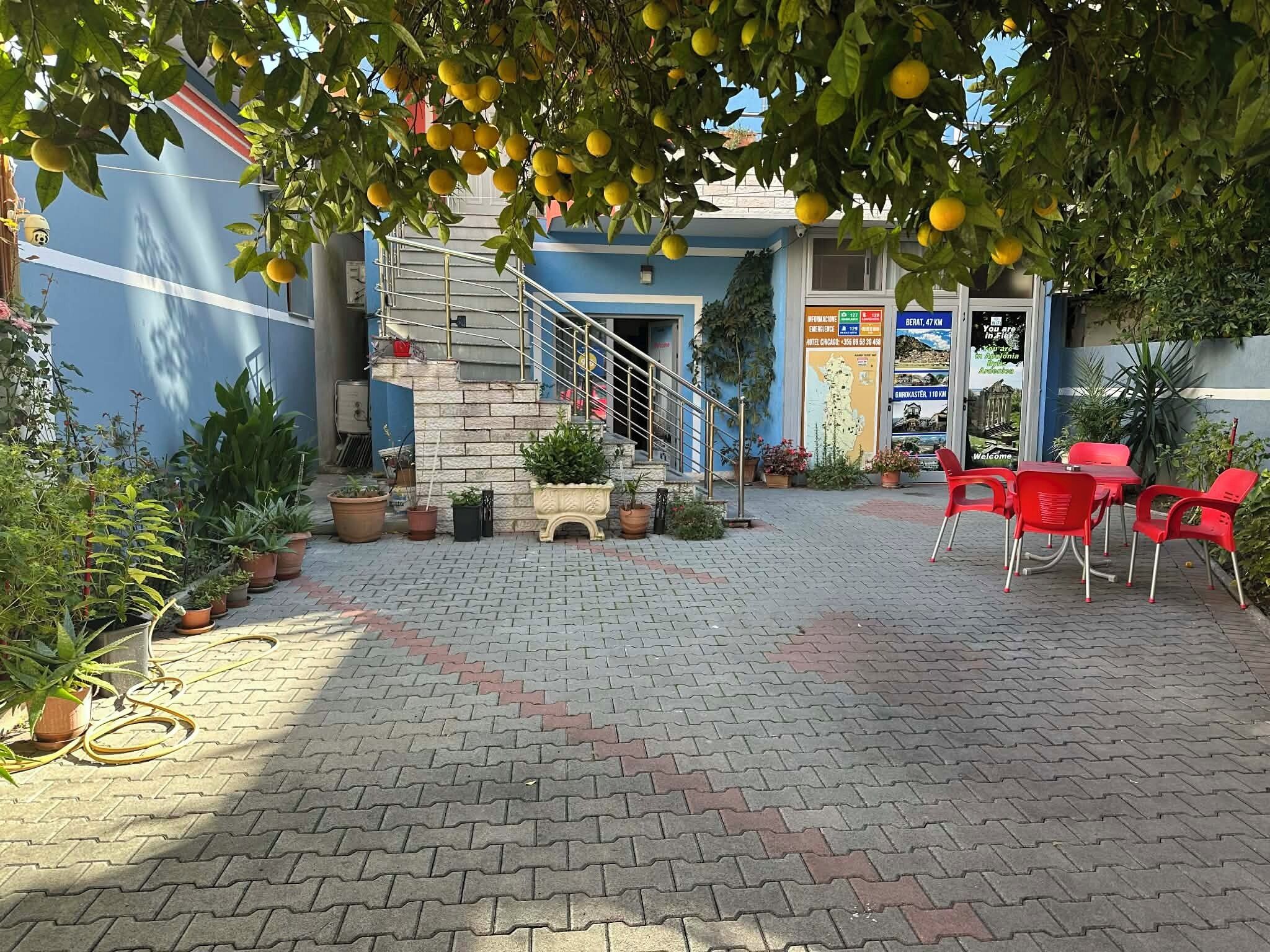 Un patio con escaleras, plantas en macetas y sillas rojas.