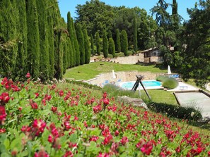 A pool area with a stone wall, lounge chairs, and a grassy landscape with cypress trees.