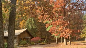 Eine rustikale Holzhütte, umgeben von Herbstlaub.
