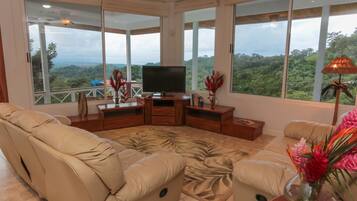 电视、DVD 播放器