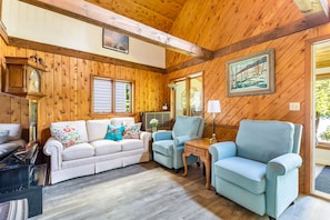 Älytelevisio, takka, DVD-soitin, kirjoja