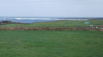 A coastal landscape with a grassy field, a road with directional signs, and the ocean in the background.