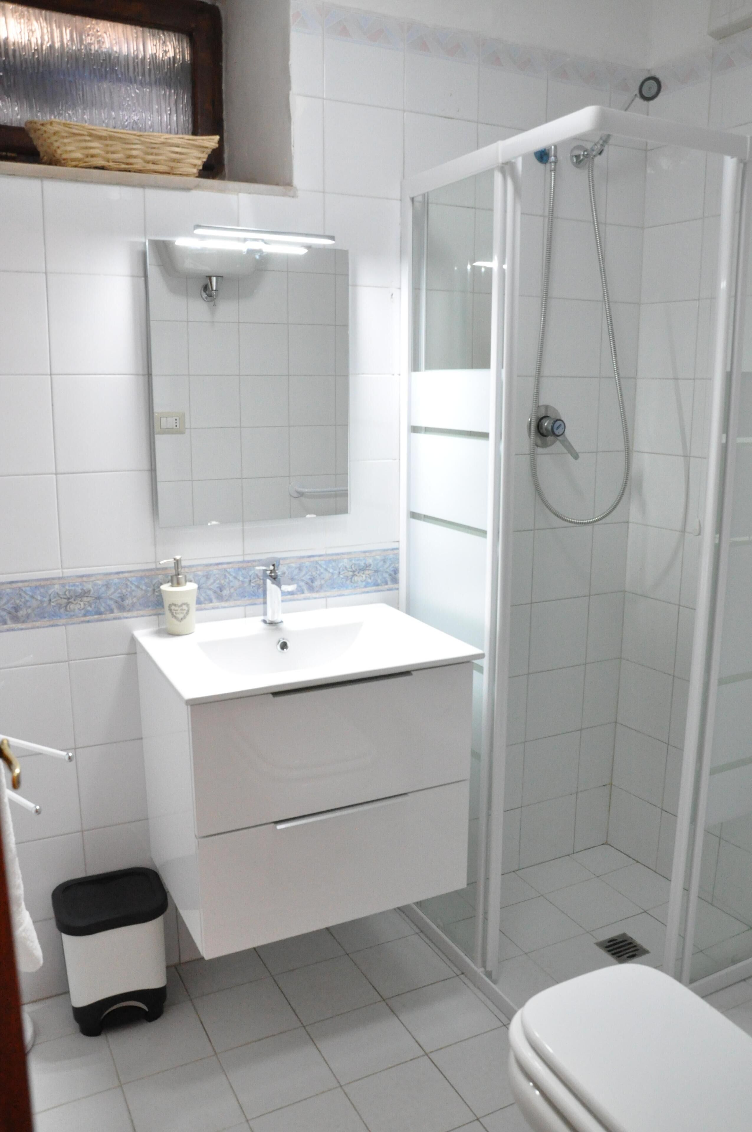 Shower, hair dryer, bidet, towels