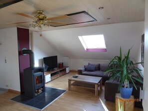 Fernseher, Kamin, DVD-Player, Musikbibliothek