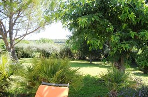 A garden with a variety of plants and trees, a chair, and a clear view of the surrounding landscape.