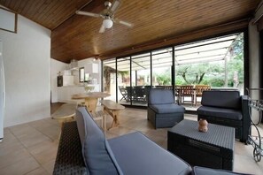 TV, fireplace, video games, DVD player