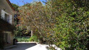 A courtyard with a gravel path, a building with a window and shutters, and dense foliage. - BANDOL- Nice apartment - CLIM - 80 m from the SEA- 4 pers- 10 min walk from the center (Bandol)