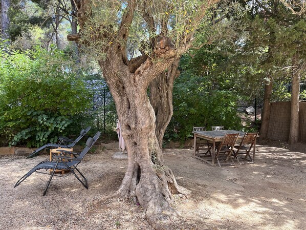 Restauration en plein air