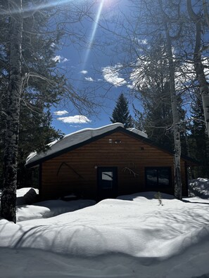Exterior - Cozy Cabin/House with Private Pond and 7KM of Skiing/Hiking Trails (Big Sky)