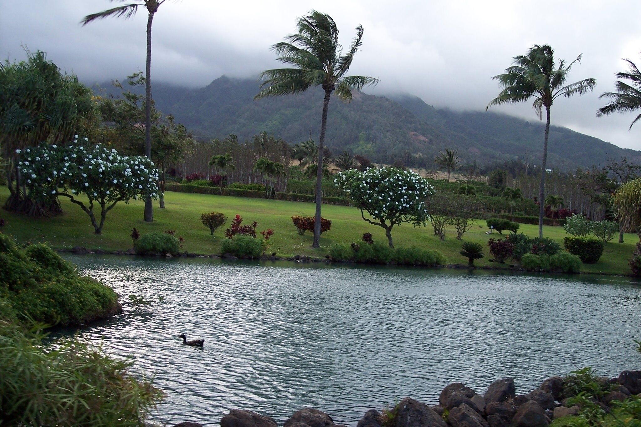 Jardines del alojamiento