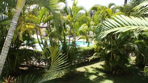 Un rigoglioso giardino tropicale con palme e una piscina.