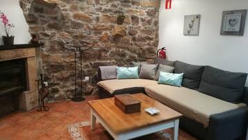 TV, fireplace, books