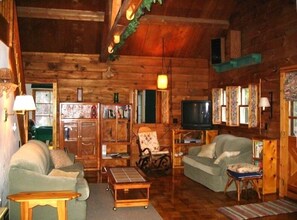 TV, DVD player, video library, stereo