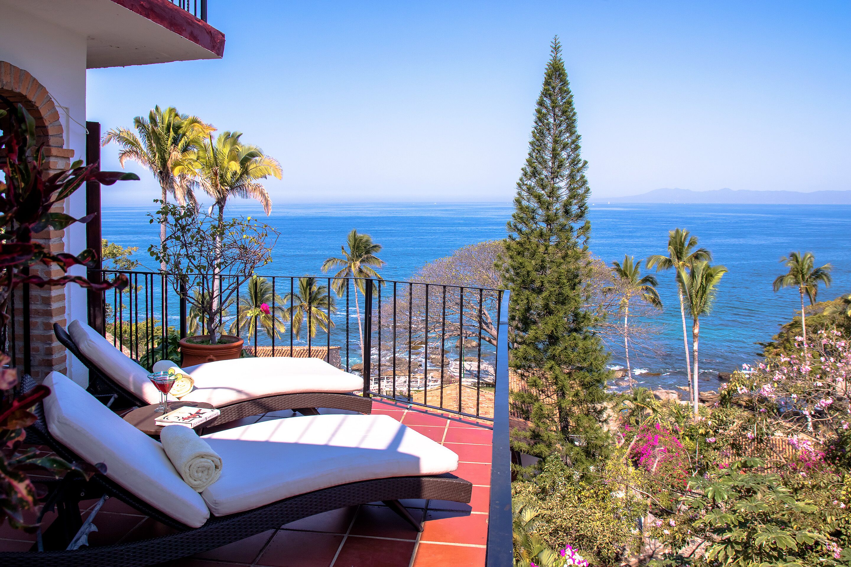 テラス / パティオ