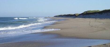 Tumbonas y toallas de playa