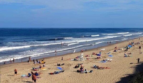 Sun-loungers, beach towels