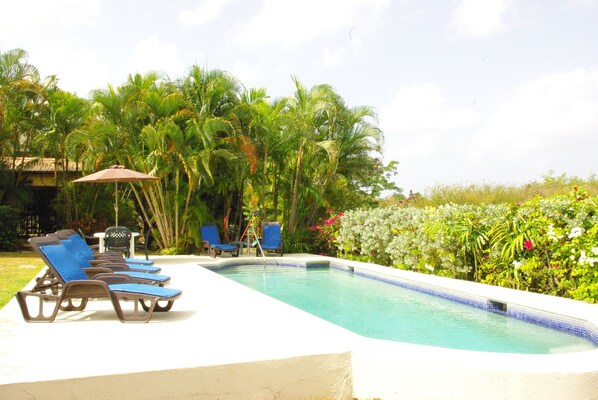 En swimmingpool med liggestole og et bord, omgivet af frodig vegetation og blomstrende planter.