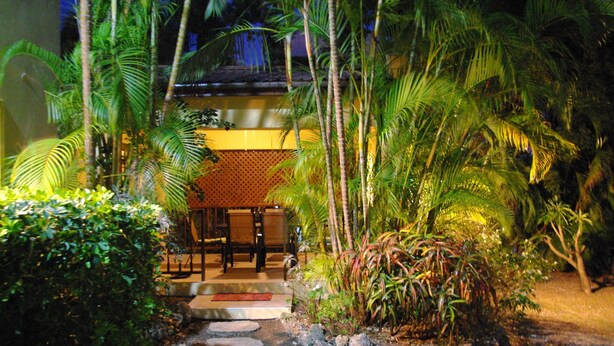 A tropical garden with a dining area featuring a table and chairs, surrounded by lush greenery and palm trees.