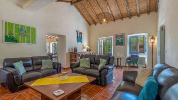 Smart TV, fireplace, books, stereo