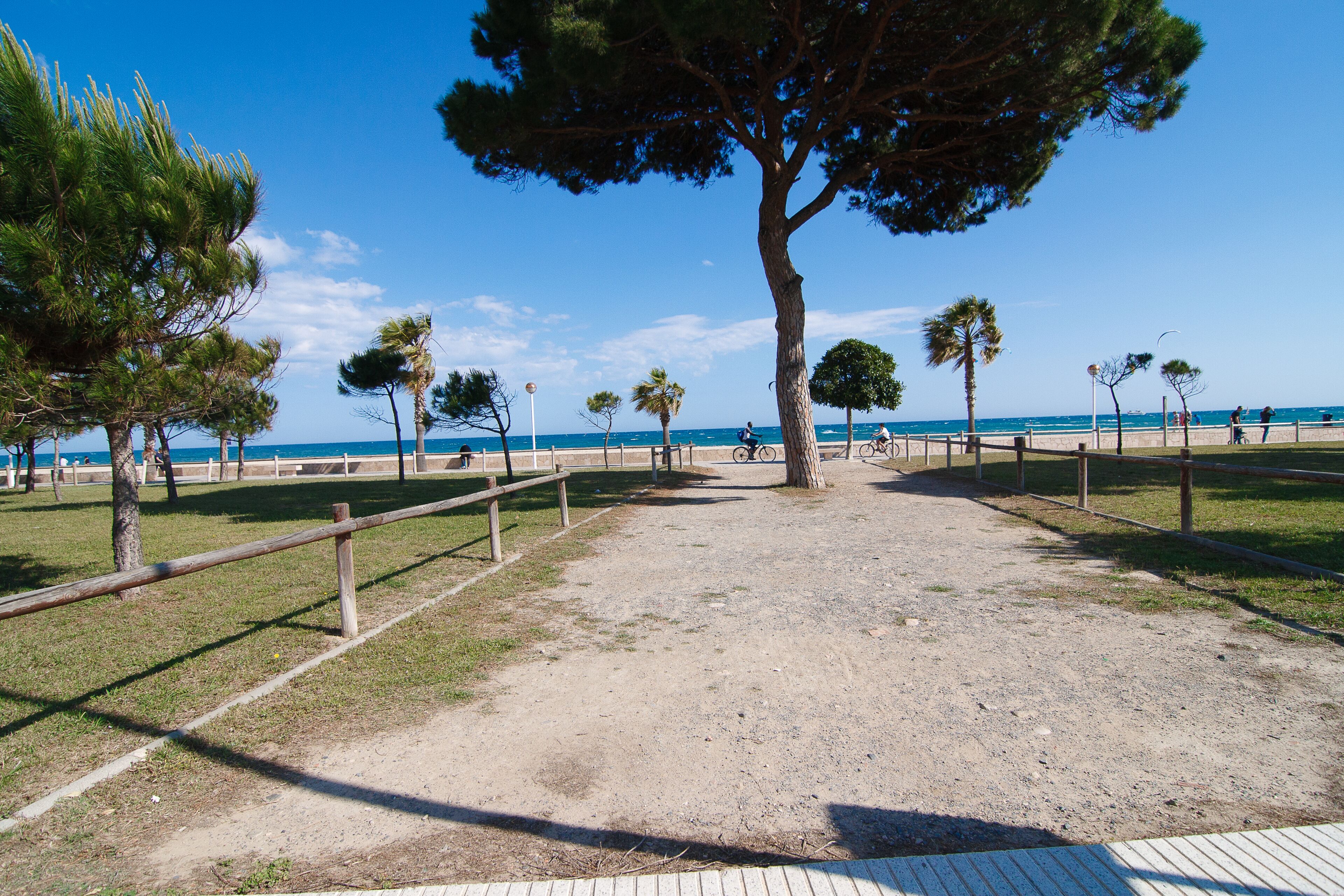 Un vialetto lastricato conduce a una spiaggia, con una recinzione in legno, alberi e un cielo azzurro intenso.