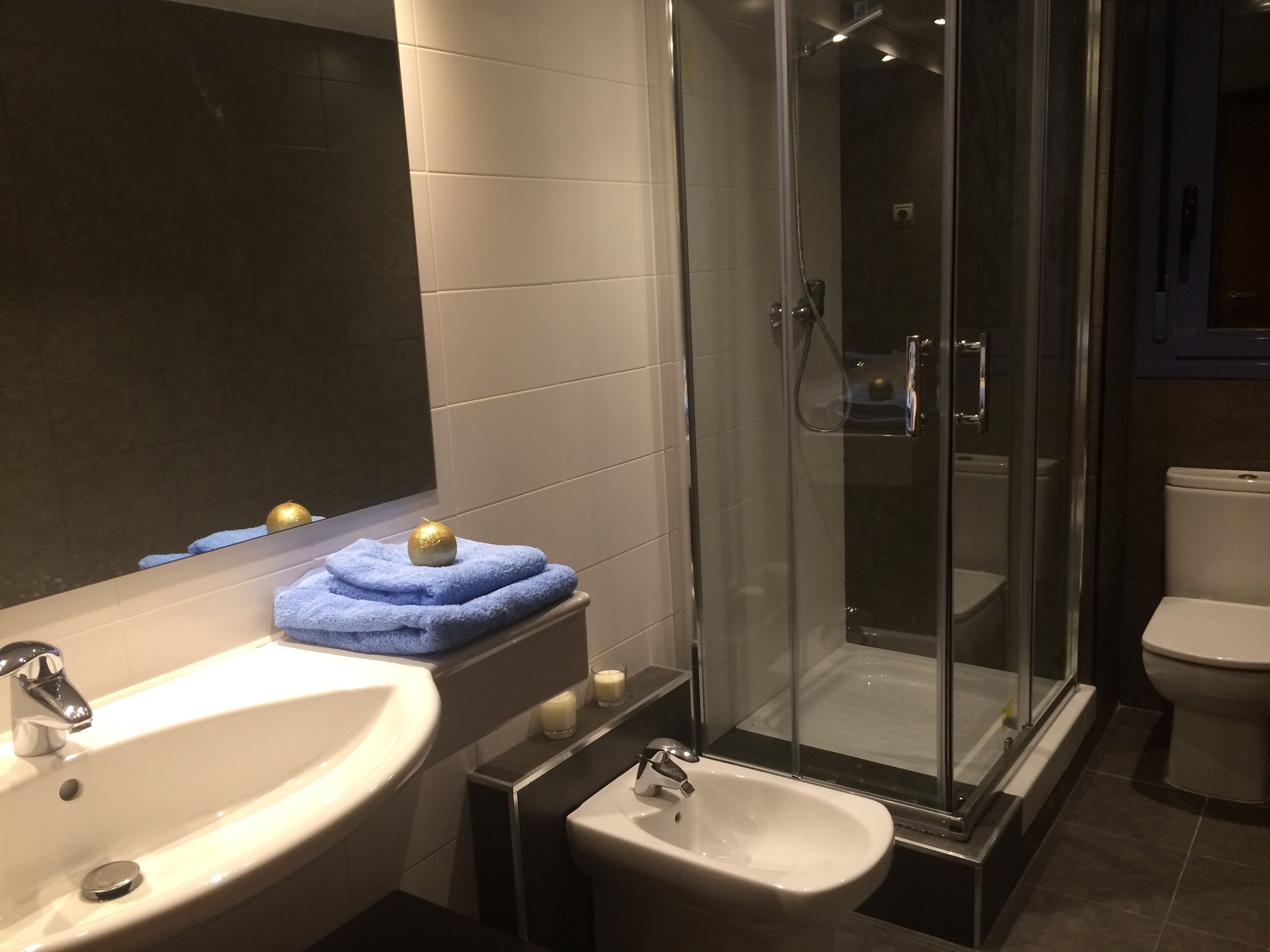 Ensemble douche/baignoire, sèche-cheveux, bidet, serviettes fournies