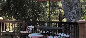 Treehousee entre los robles