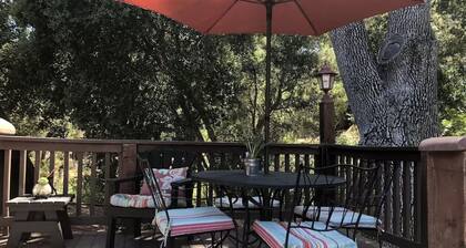 Rustic 1BD Retreat on Vineyard Drive, Wine Country Views & Privacy