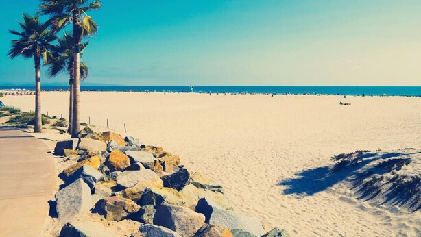 Una platja amb palmeres, sorra daurada i un cel blau i clar.
