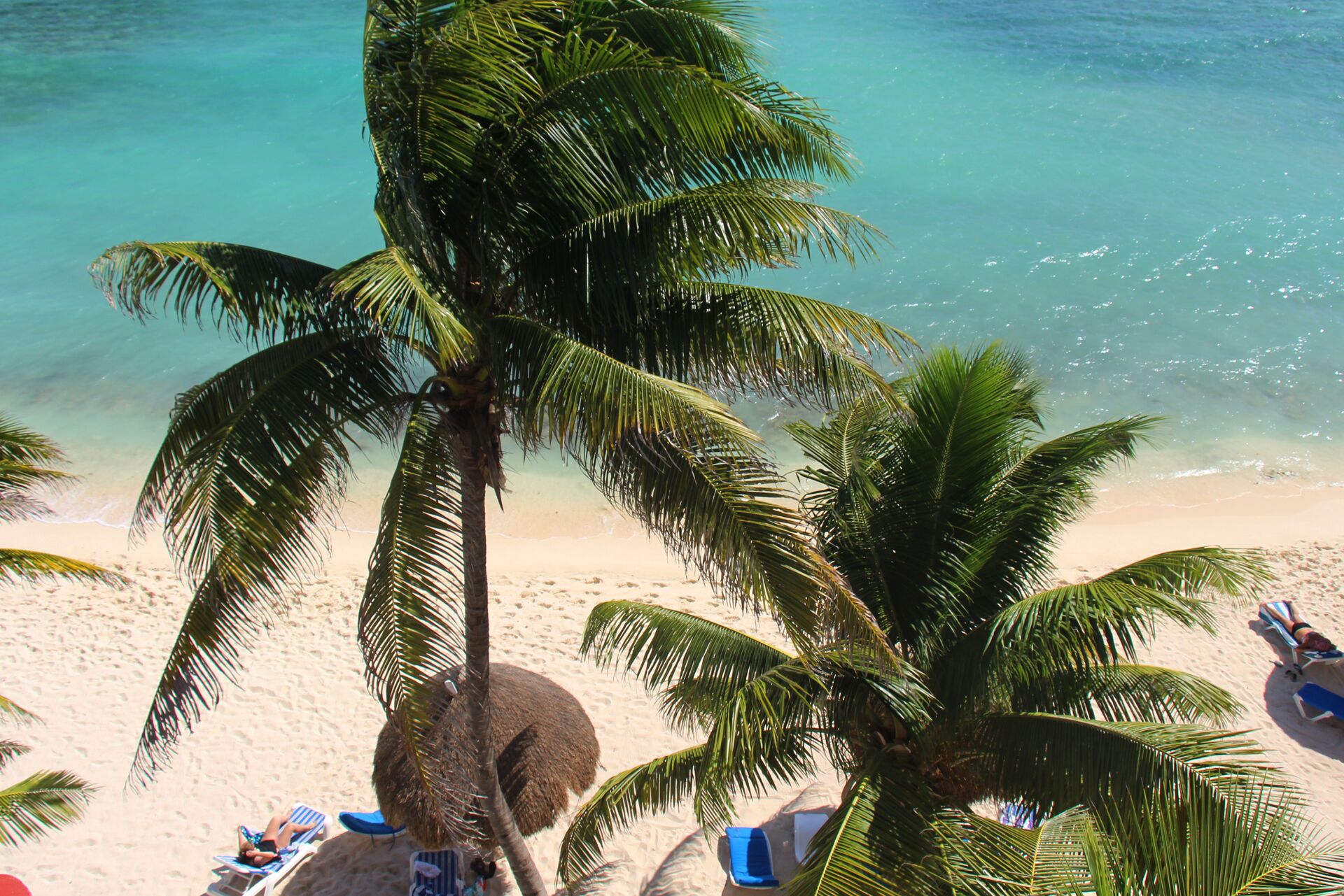 A beach with palm trees, clear blue water, and sun loungers.