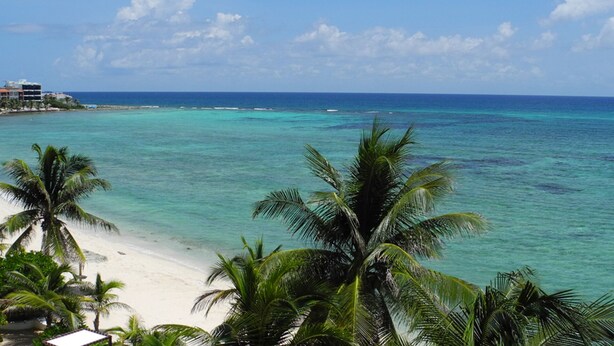 A beach with clear turquoise water, palm trees, and a distant shoreline with buildings. - Akumal Paradise Private Studio - WiFi, Air Conditioning (Akumal, Riviera Maya)