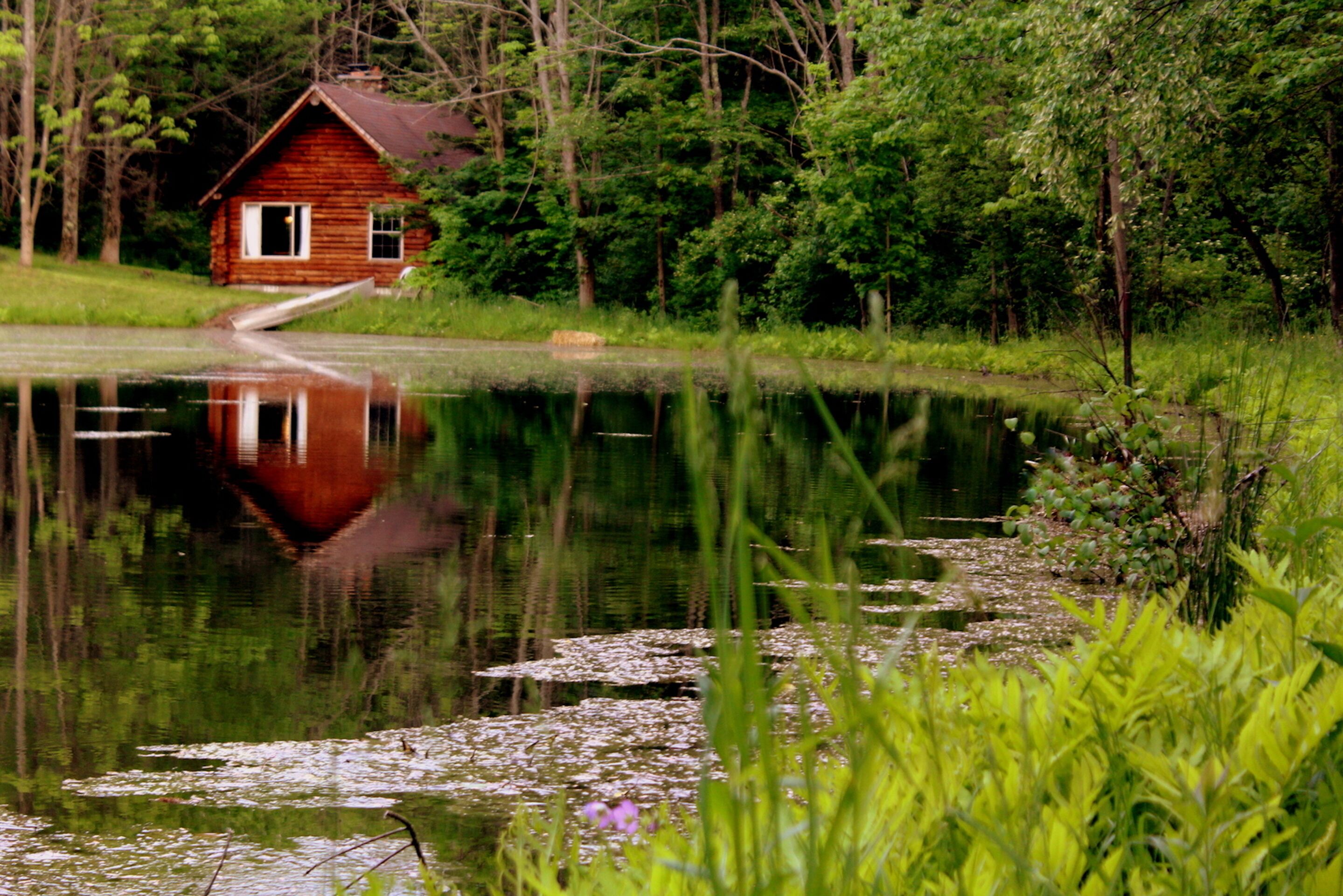 Pet-friendly Cabin with Authentic Sauna Situated Next To Private Spring-fed Pond