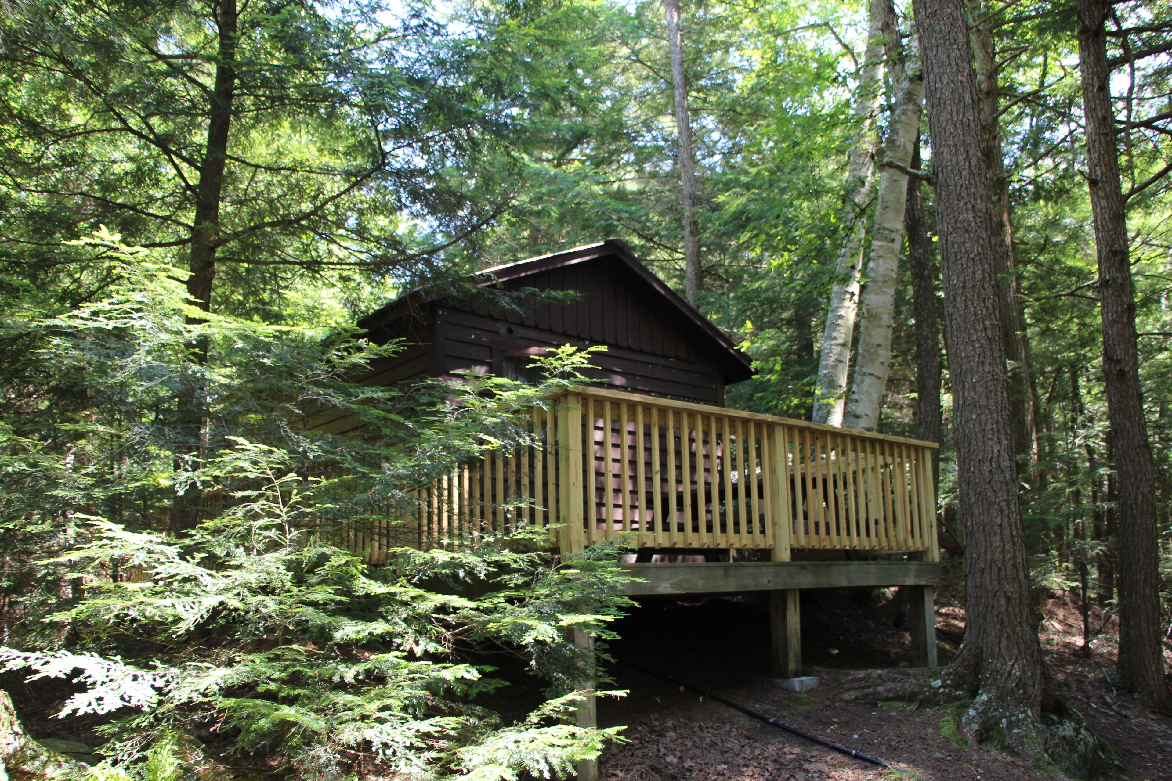 Cozy pet friendly cabin for two - 3 miles from Saranac Lake - access to lake